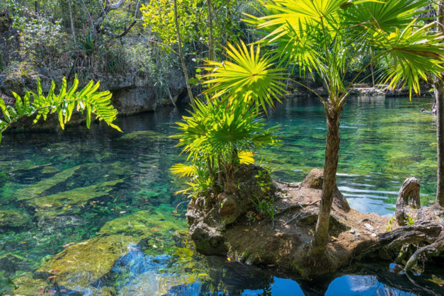 Top Places to Visit in Mexico’s Yucatan Region